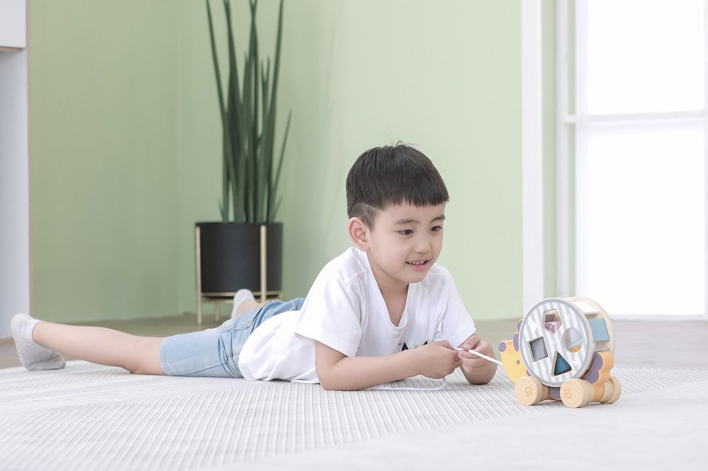 Jeżyk z sorterem do ciągnięcia Polar B - obrazek 5